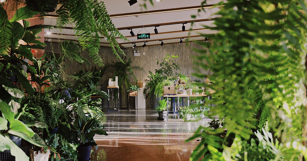 维多利亚老品牌vic奥莱·滇池小镇