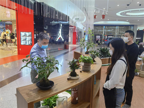 维多利亚老品牌vic(集团)官方网站