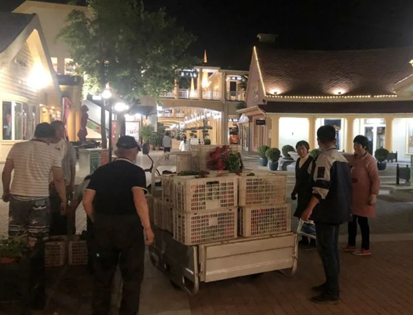 维多利亚老品牌vic(集团)官方网站