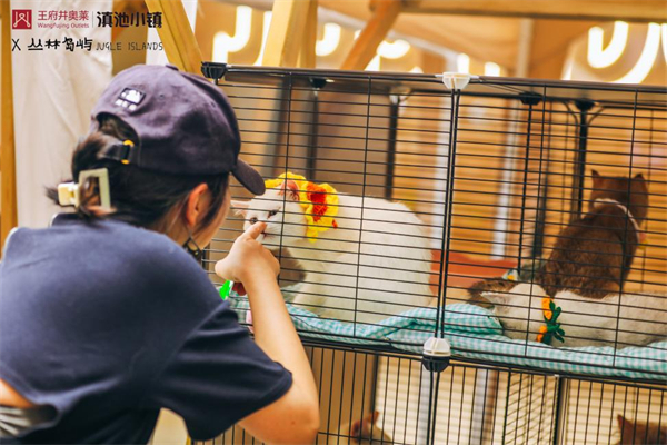 维多利亚老品牌vic(集团)官方网站