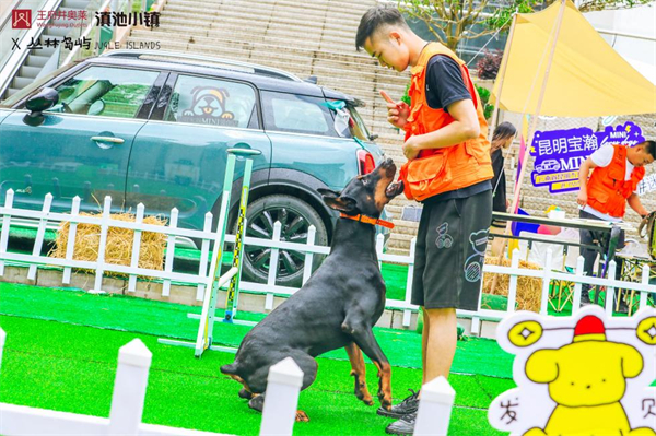 维多利亚老品牌vic(集团)官方网站