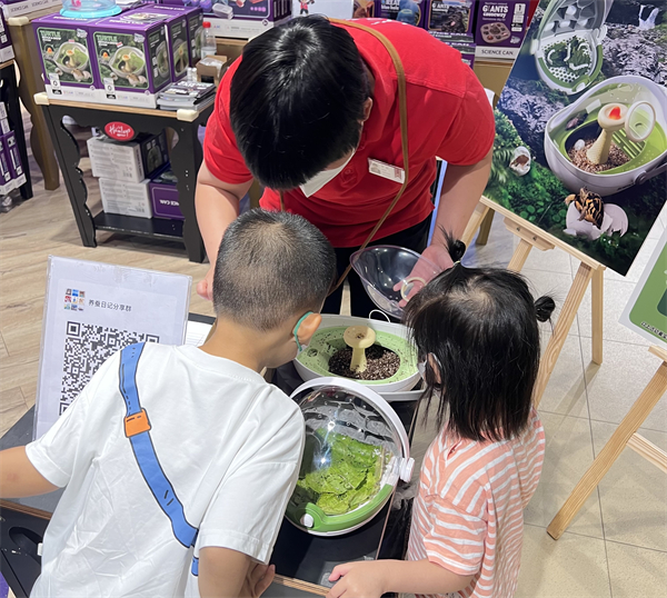 维多利亚老品牌vic(集团)官方网站