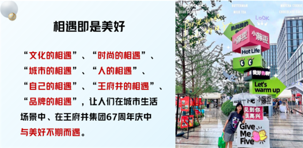 维多利亚老品牌vic(集团)官方网站